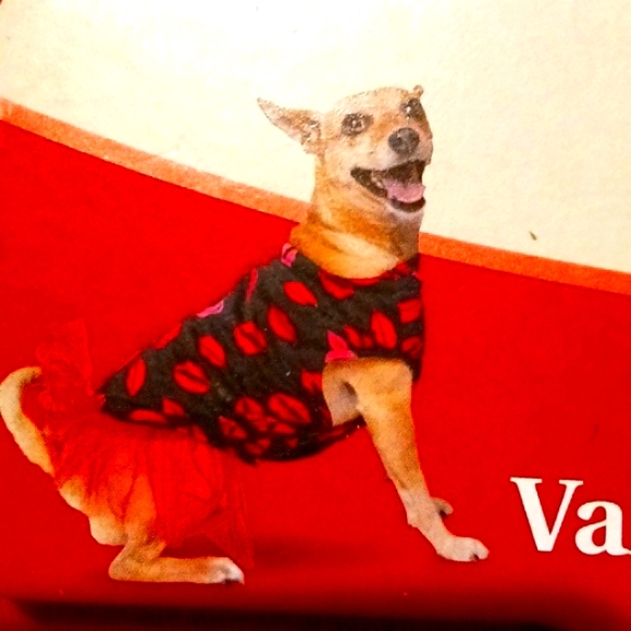 New Valentine's Day Pet Apparel ๐ - Picture 3 of 7